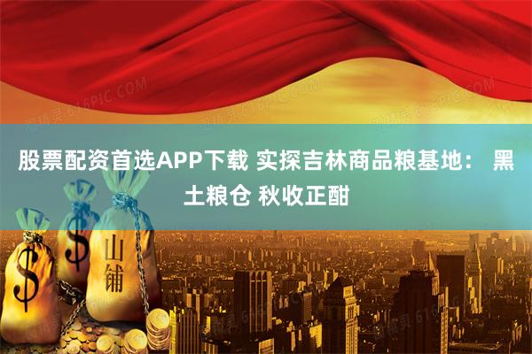 股票配资首选APP下载 实探吉林商品粮基地： 黑土粮仓 秋收正酣