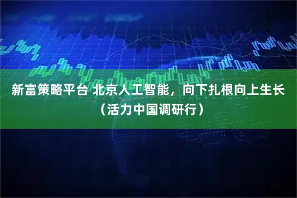 新富策略平台 北京人工智能，向下扎根向上生长（活力中国调研行）