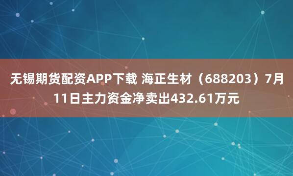 无锡期货配资APP下载 海正生材（688203）7月11日主力资金净卖出432.61万元