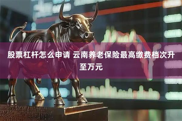 股票杠杆怎么申请 云南养老保险最高缴费档次升至万元