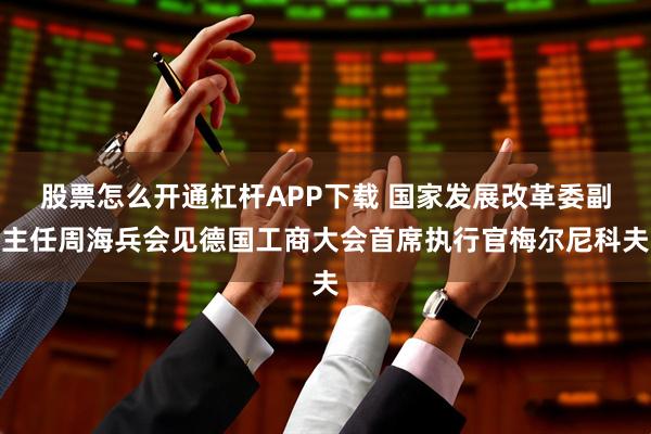 股票怎么开通杠杆APP下载 国家发展改革委副主任周海兵会见德国工商大会首席执行官梅尔尼科夫
