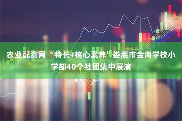 农业配资网 “特长+核心素养”娄底市金海学校小学部40个社团集中展演