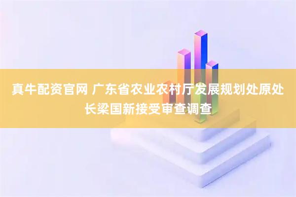 真牛配资官网 广东省农业农村厅发展规划处原处长梁国新接受审查调查